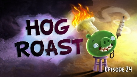 Hog roast