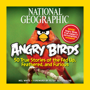 National Geographics Angry Birds Bird Book