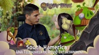 Angry Birds Seasons South HAMerica!