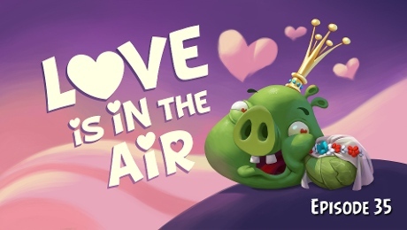 Love is in the Air