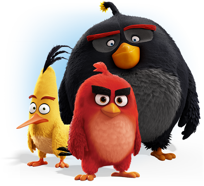 Red, Chuck and Bomb